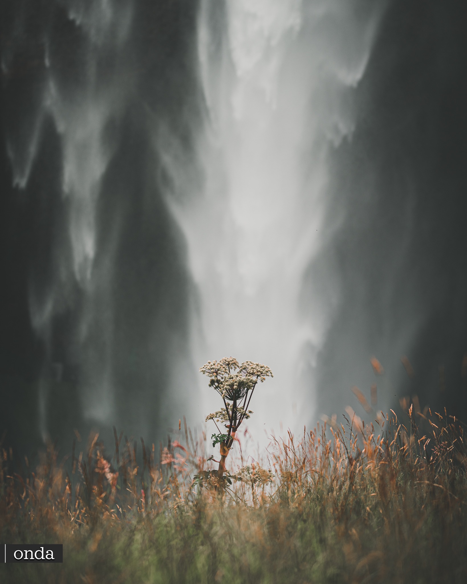 Seljalandsfoss — cascada junto a la Ring Road en el sur de Islandia
