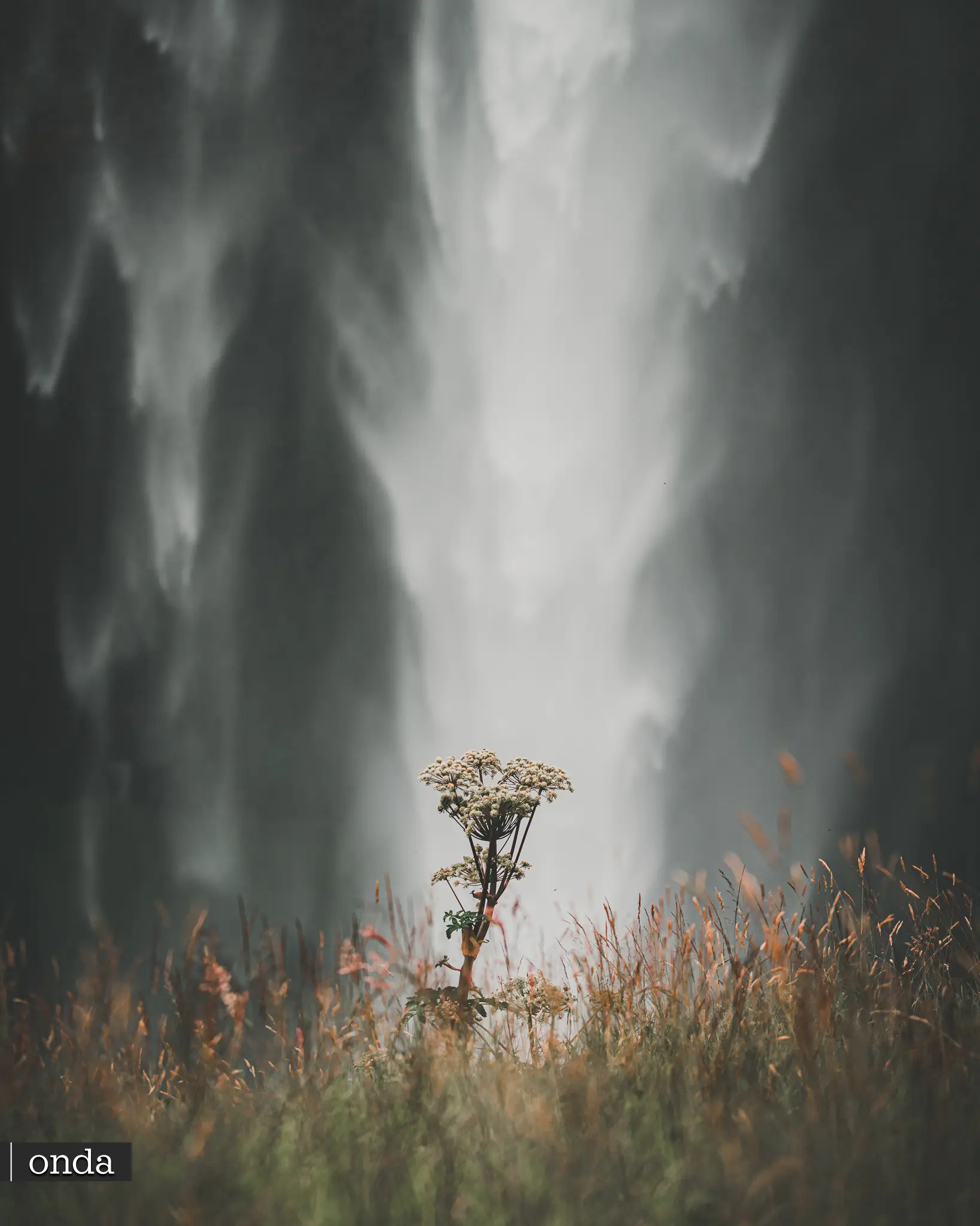 WODOSPAD SELJALANDSFOSS - Islandia by OndaTravel.pl