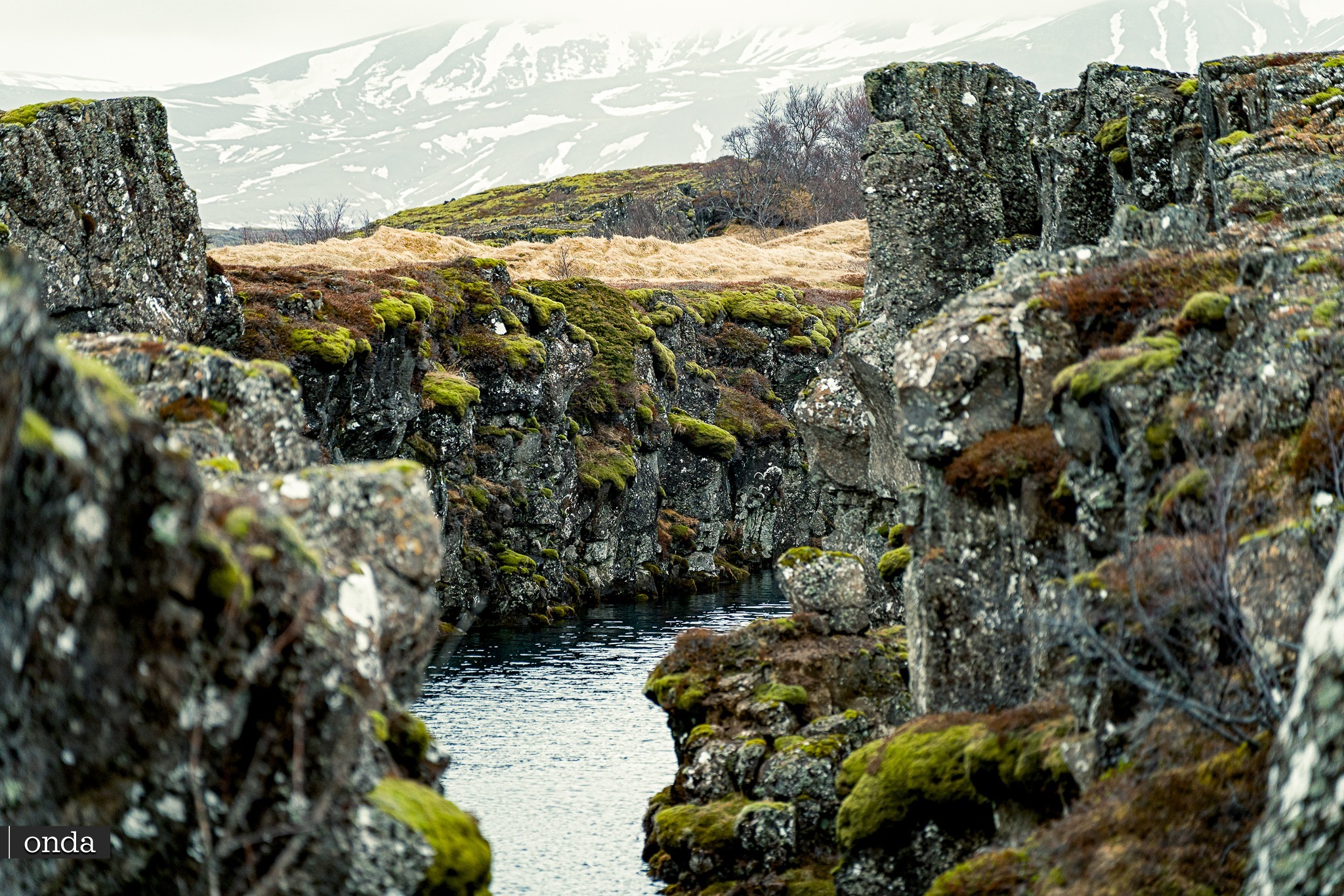 Þingvellir (Thingvellir) – park narodowy na trasie Golden Circle