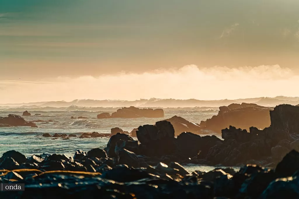 Plaża Ytri Tunga / Staðarstaður- Wycieczki po Islandii z OndaTravel.pl