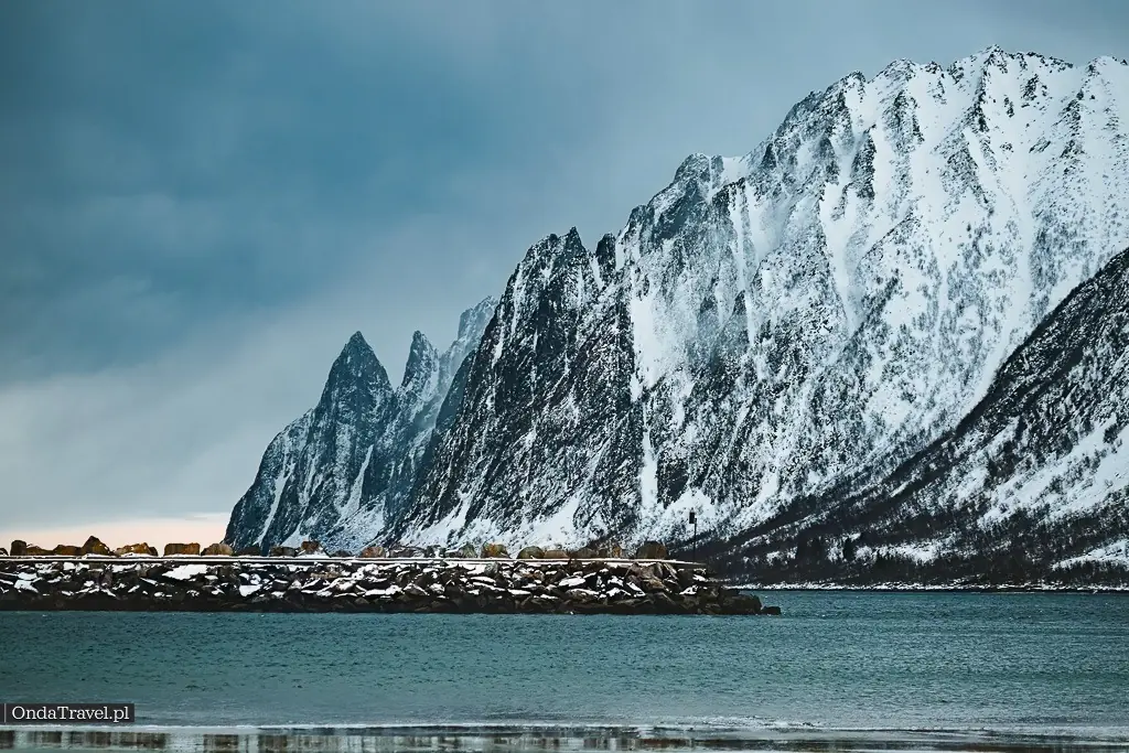 Niesamowita dzika przysroda na wyspie Senja Norwegia
