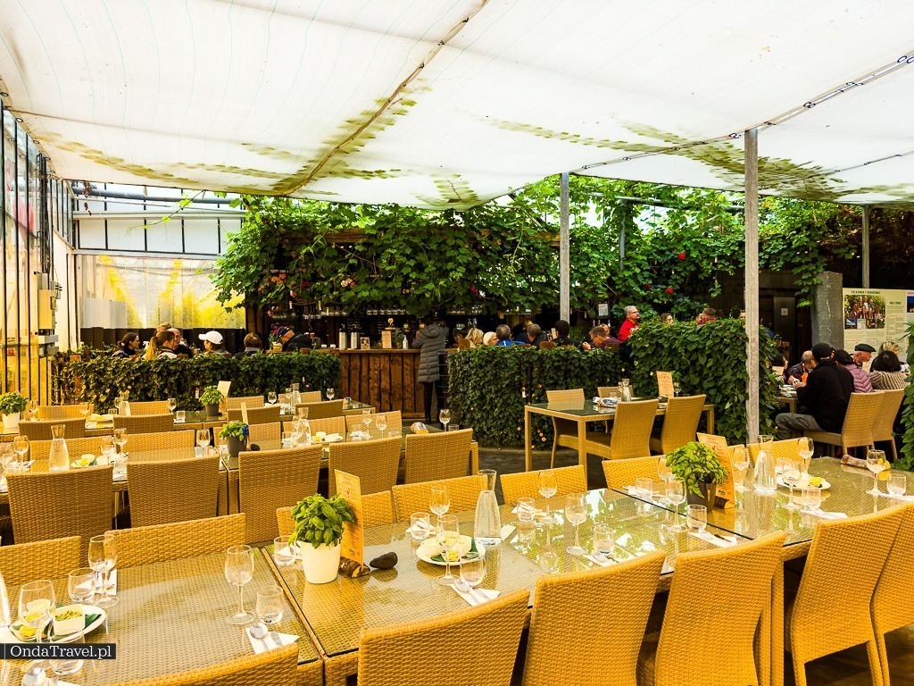 Restauracja Fridheimar Fridheimar Reykholt Islandia by OndaTravel.pl 5 - OndaTravel.pl -