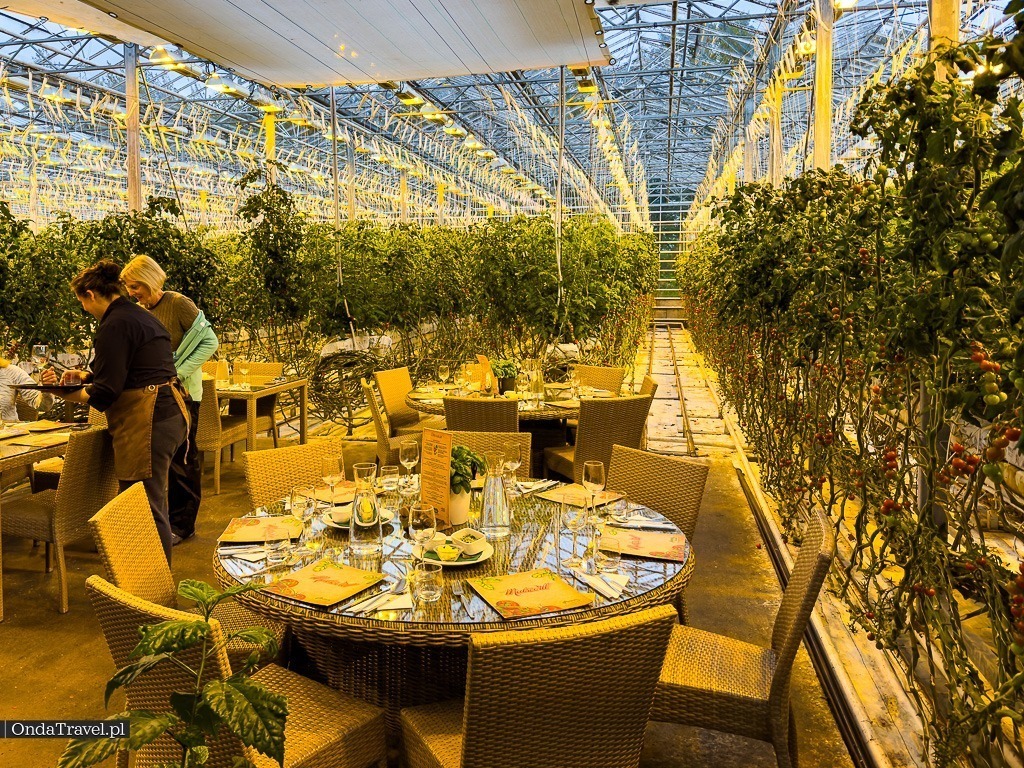 Restauracja Fridheimar Fridheimar Reykholt Islandia by OndaTravel.pl 6 - OndaTravel.pl -