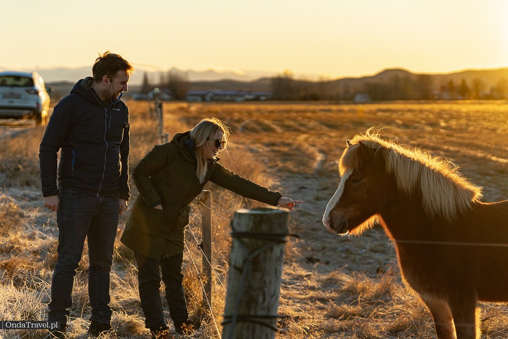 Wycieczki po Islandii z OndaTravel.pl 4 - OndaTravel.pl -