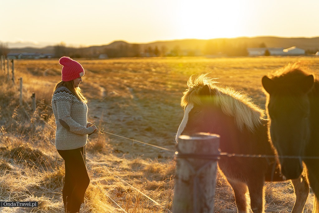 Wycieczki po Islandii z OndaTravel.pl 7 - OndaTravel.pl -