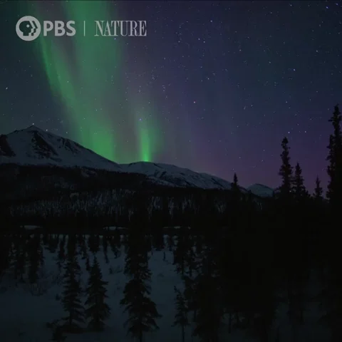 Northern Lights 2 - OndaTravel.pl -