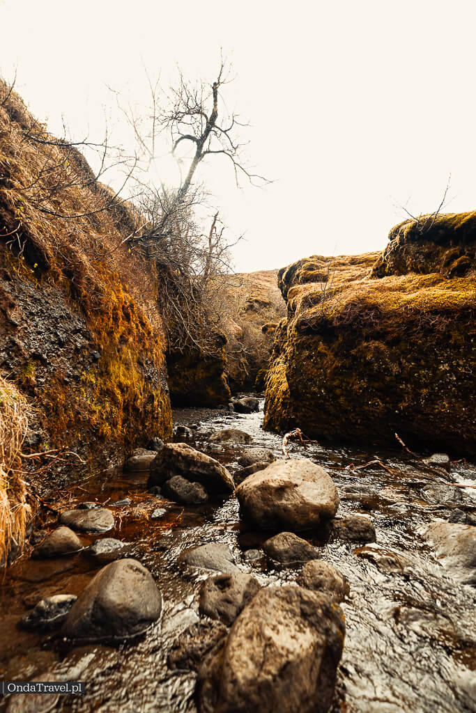 Nauthúsagil – zdjęcie z wpisu (południe Islandii)