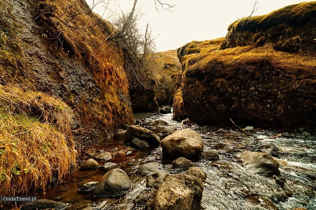 Wąwóz Nauthúsagil i wodospad Nauthúsafoss na Islandii