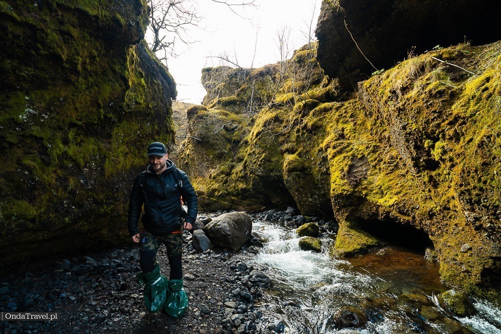 Nauthusagil Gorge and Nauthúsafoss Waterfall - Iceland's Hidden Gems