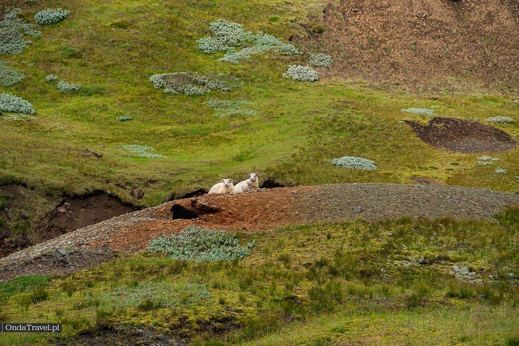 Haifoss / Háifoss Waterfall – Iceland's Hidden Gems
Travel Guide to Iceland