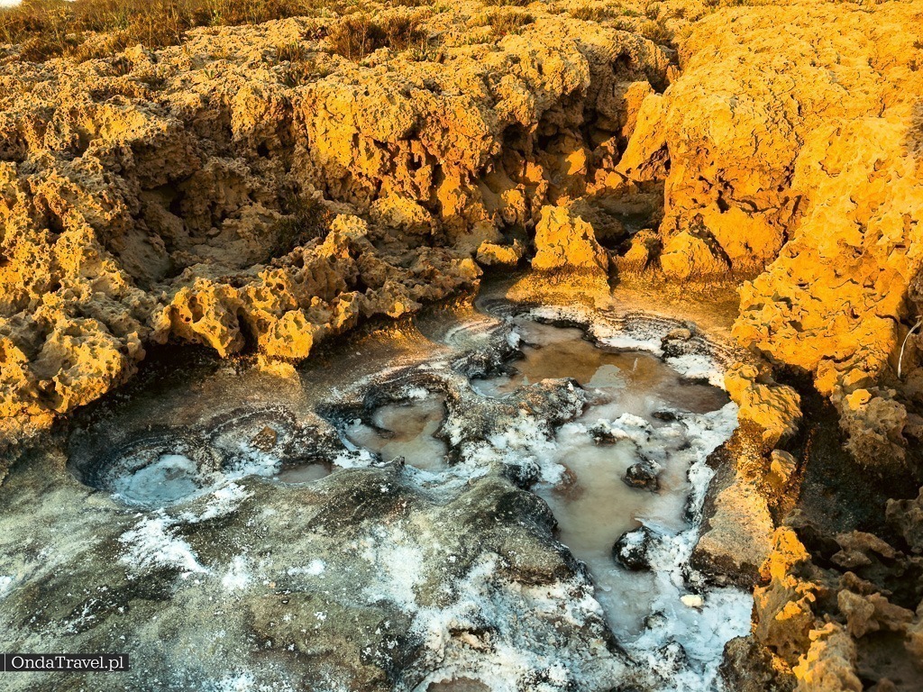Wapienne skały (limestone) na Plaży Nissi na Cyprze podczas wakacji