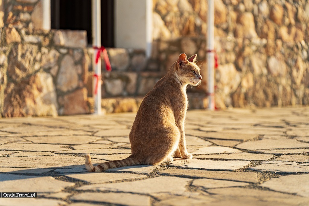 Profitis Ilias — Protaras — Cyprus travel guide
