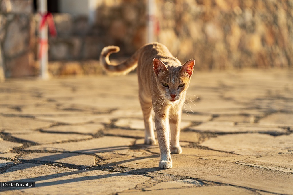 Profitis Ilias . Προφήτης Ηλίας Cyprus Cypr by OndaTravel.pl 26 1 - OndaTravel.pl -