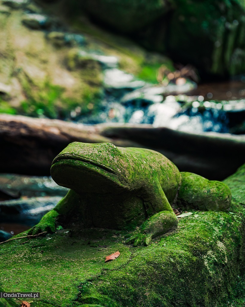 Thailand tourist attractions - Tarnim Magic Garden - Secret Buddha Garden - Koh Samui
