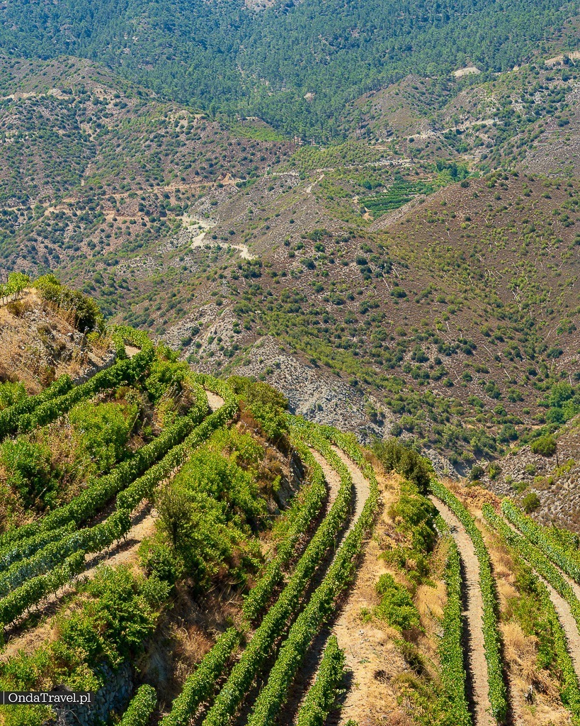 Tsiakkas Winery — Pelendri — Cyprus travel guide