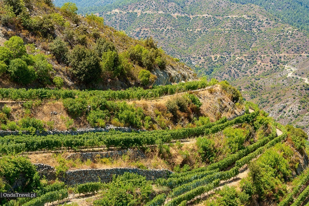 Tsiakkas Winery - Pelendri - Przewodnik turystyczny po Cyprze