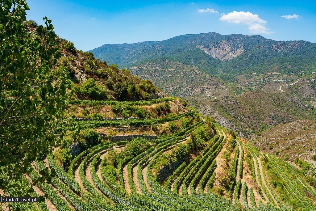 Tsiakkas Winery - Pelendri - Przewodnik turystyczny po Cyprze