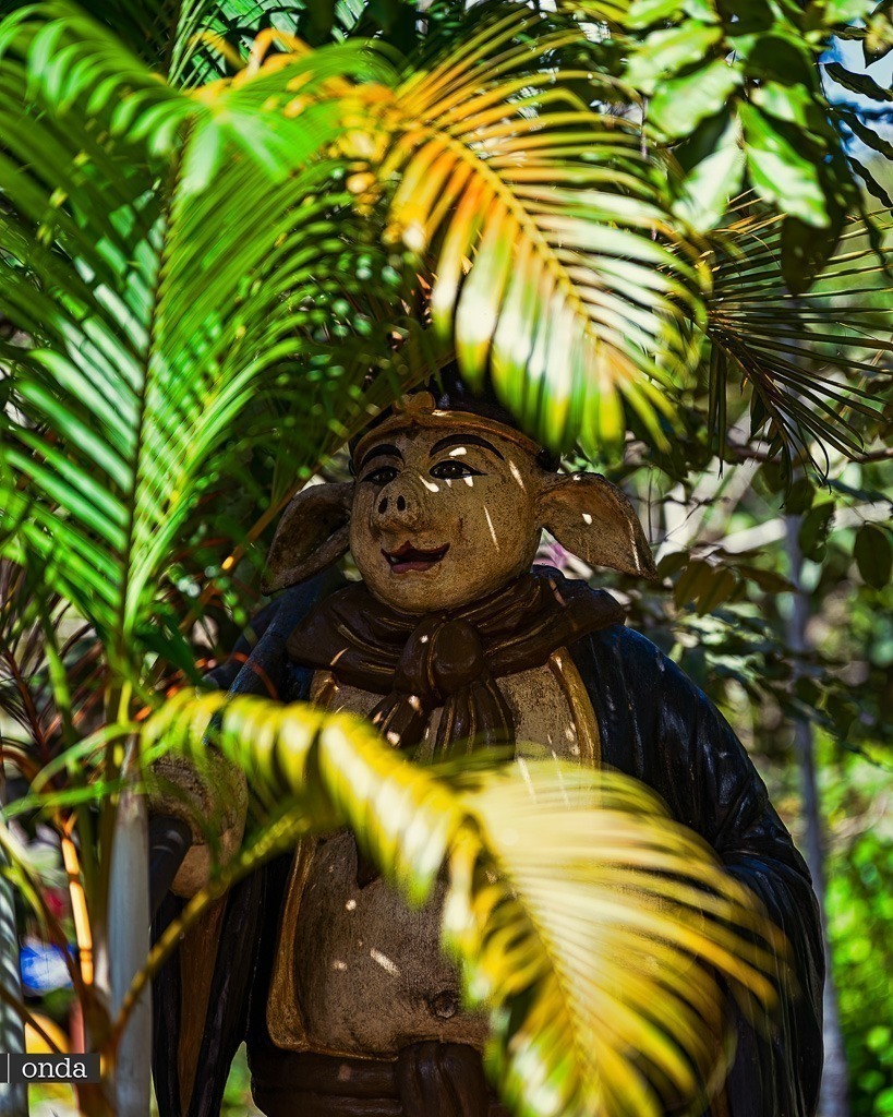 Vietnam Suoi Trang Park on Phu Quoc island by OndaTravel.pl