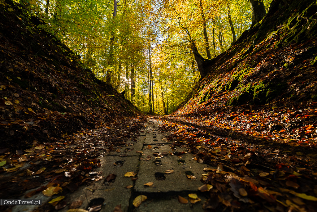 Paraszyńskie Wąwozy - Strzebielino