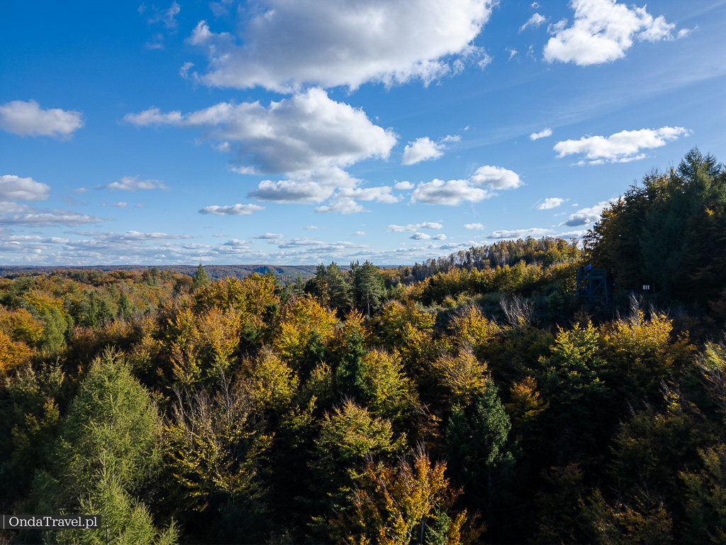 Jelenia Góra (wzgórze) – punkt widokowy i wieża na 221 m n.p.m.