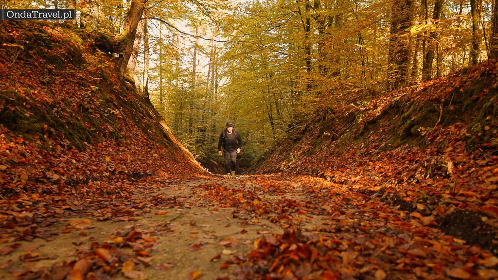 Kadry z mojego filmu Jelenia Góra - Spacer przez Paraszyńskie Wąwozy do wieży widokowej w Paraszynie