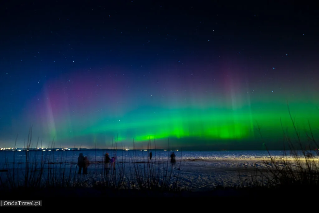 Alerta de aurora: posibilidad de aurora boreal en Polonia
