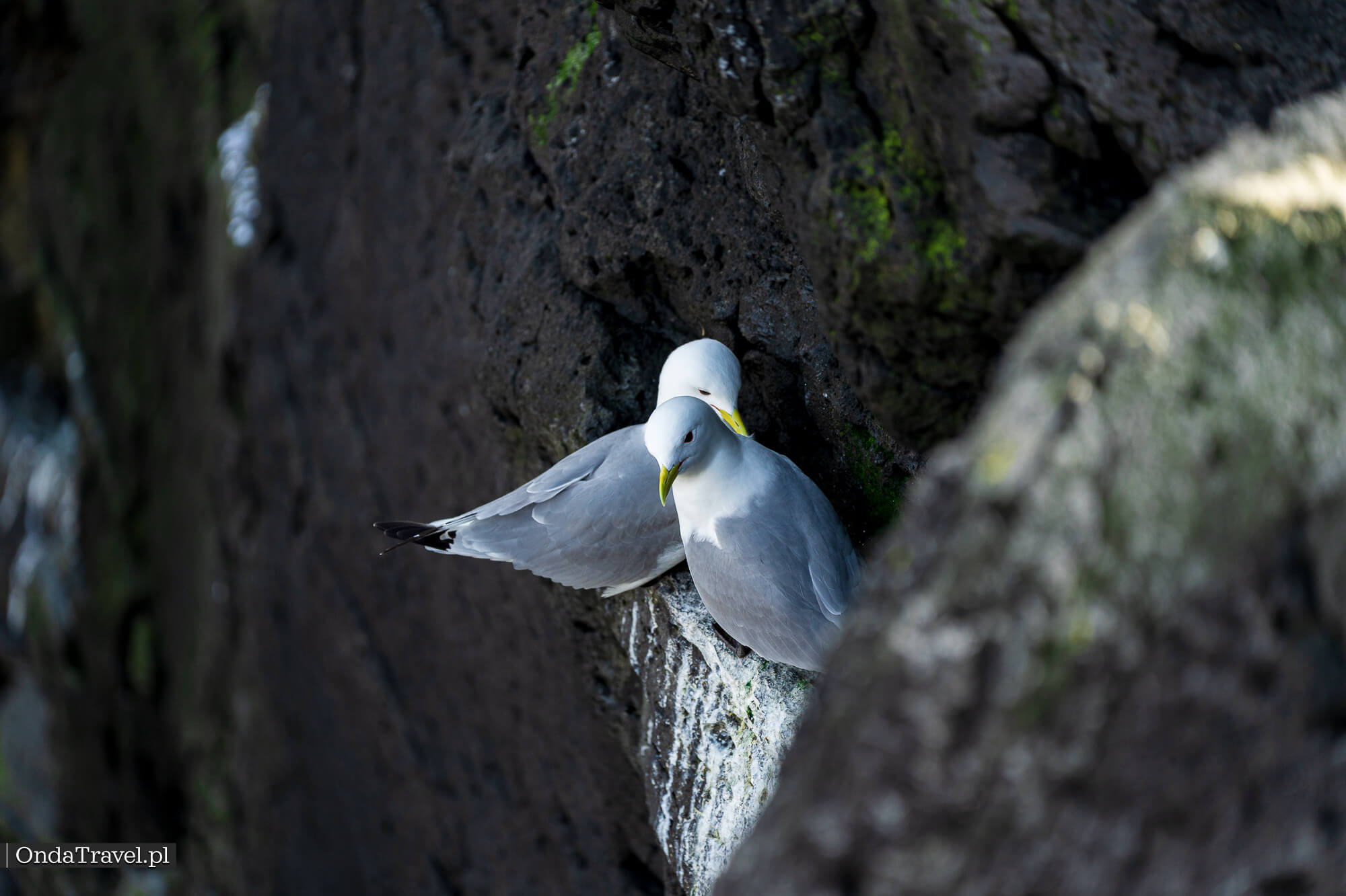 Arnarstapi – pueblo pesquero en la península de Snæfellsnes - fotos privadas OndaTravel.pl