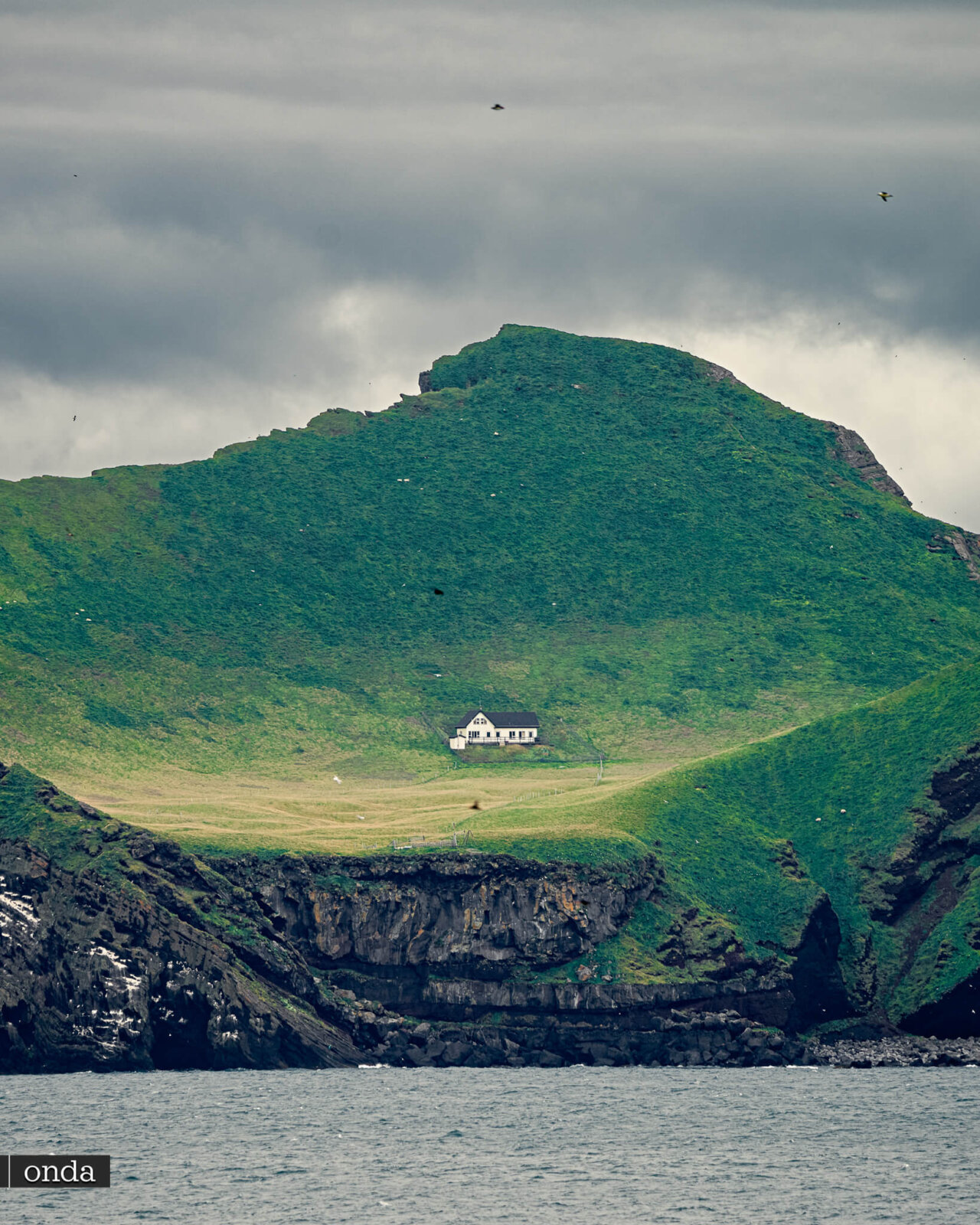 冰岛 Vestmannaeyjar 群岛埃利扎伊绿岛上的孤独房子