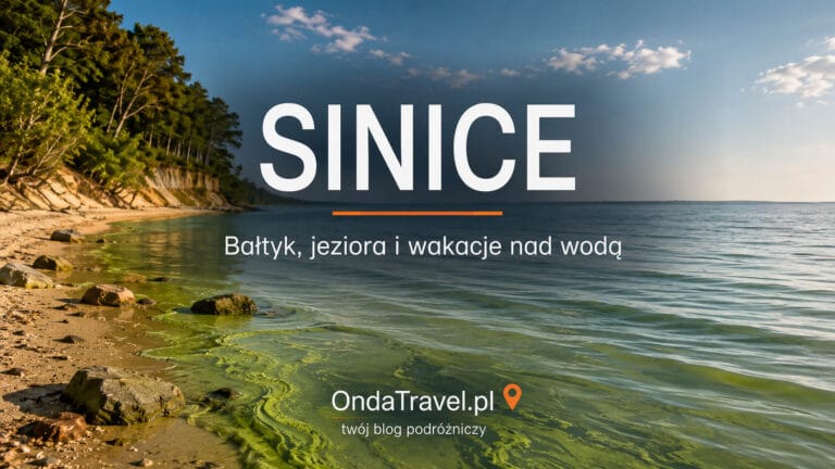 Sinice w Bałtyku i jeziorach: przewodnik dla turystów o objawach, mapie i bezpieczeństwie.