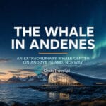 The Whale in Andenes on Andøya in Northern Norway
