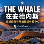 挪威北部安岛安德内斯的 The Whale 鲸类体验中心