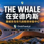 挪威北部安岛安德内斯的 The Whale 鲸类体验中心