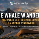 The Whale w Andenes na wyspie Andøya w północnej Norwegii