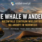 The Whale w Andenes na wyspie Andøya w północnej Norwegii