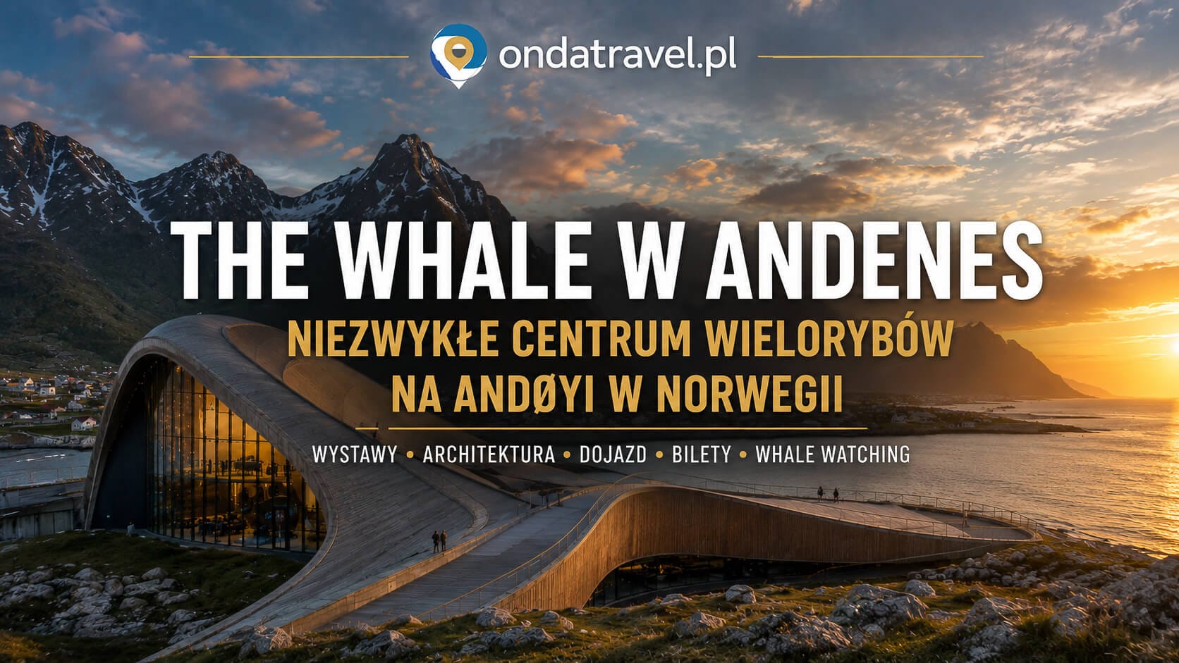 The Whale w Andenes – niezwykłe centrum wielorybów na Andøyi