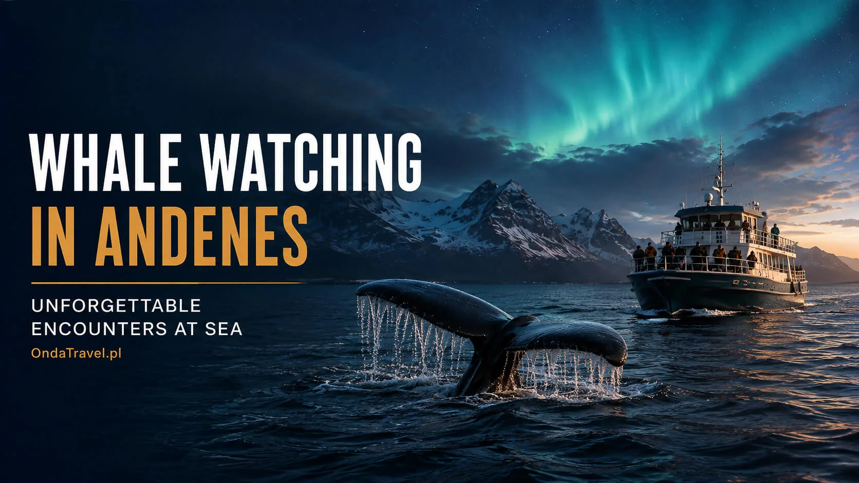 Whale watching from Andenes on Andøya in Norway