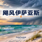 飓风伊萨亚斯过境后的佛罗里达墨西哥湾沿岸——文章配图，非纪实照片。