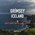 Grímsey, Iceland: cliffs, ocean and Arctic Circle — guide illustration, not documentary photography.