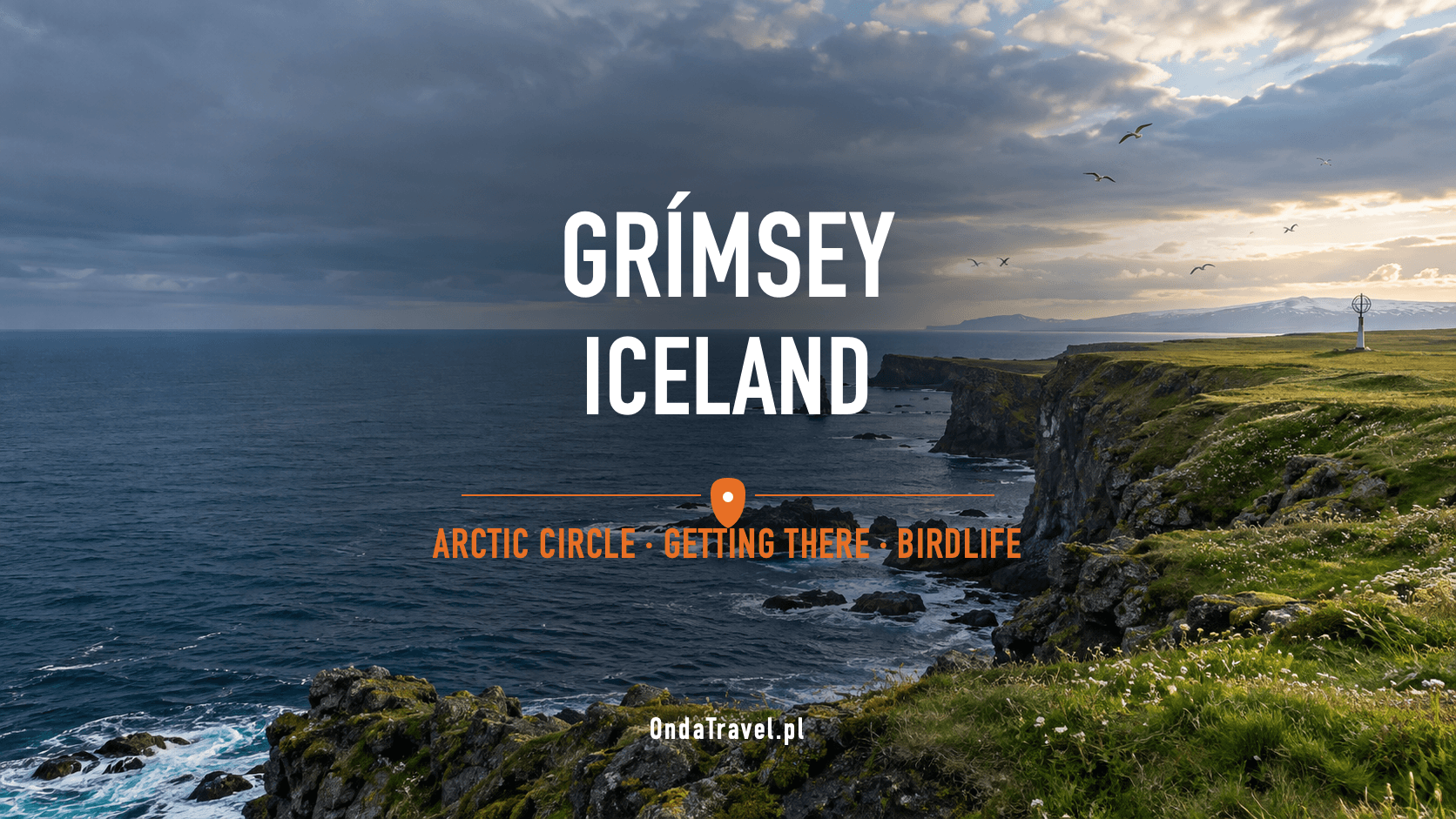 Grímsey, Iceland: cliffs, ocean and Arctic Circle — guide illustration, not documentary photography.