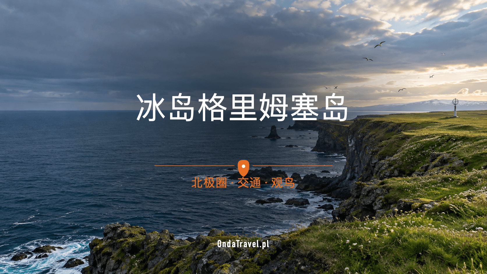 冰岛格里姆塞岛：海崖、海洋与北极圈——指南插图，非纪实照片。